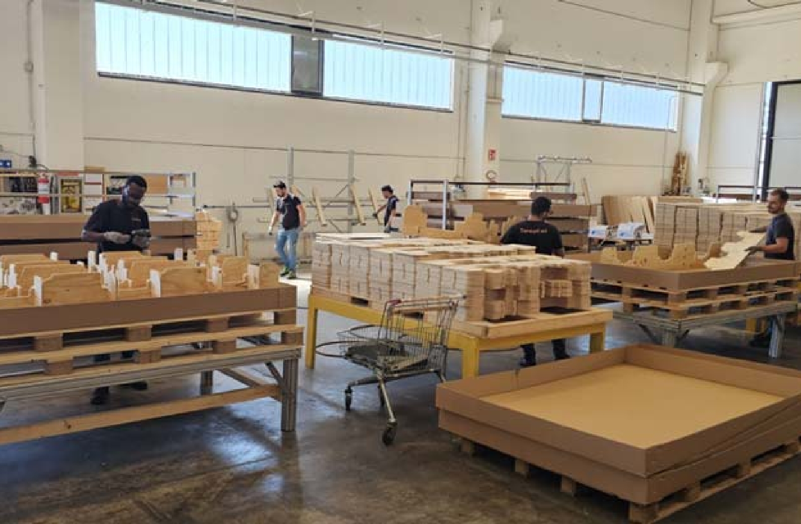 Tersigni Packaging